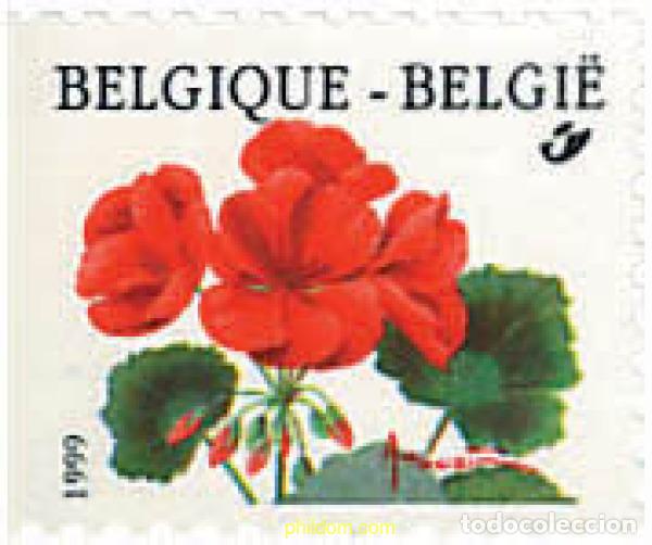 Sellos: 97138 MNH BELGICA 1999 FLORES