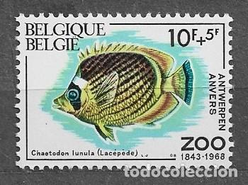 Sellos: B&eacute;lgica 1968 - Peces del zoo de Amberes - 1538** - 2000-12