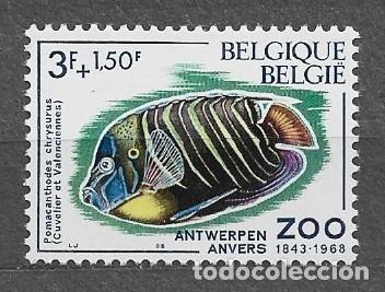 Sellos: B&eacute;lgica 1968 - Peces del zoo de Amberes - 1536** - 2000-12