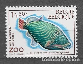 Sellos: B&eacute;lgica 1968 - Peces del zoo de Amberes - 1535** - 2000-12