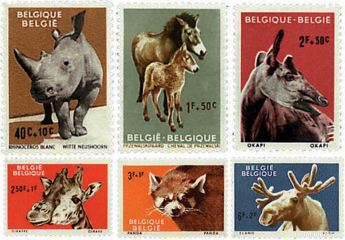 Sellos: 84141 MNH BELGICA 1961 MAMIFEROS DEL ZOO DE AMBERES