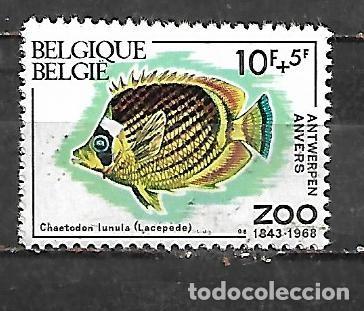 Sellos: 1968: Peces del zoo de Amberes - Pez mariposa mapache (MH*)