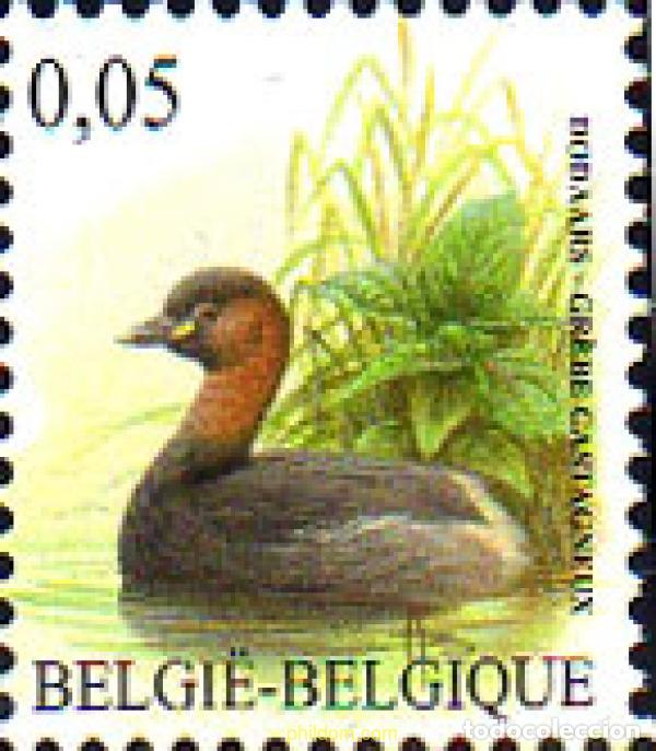 Sellos: 291758 MNH BELGICA 2010 AVE