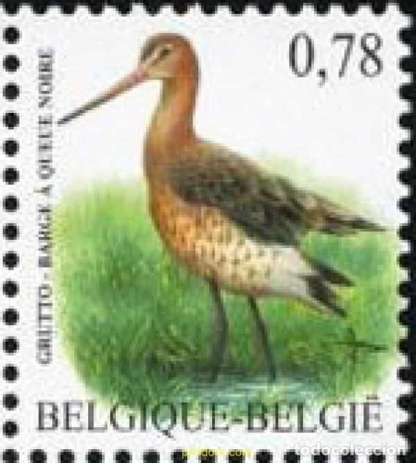 Sellos: 189750 MNH BELGICA 2006 FAUNA. AVES