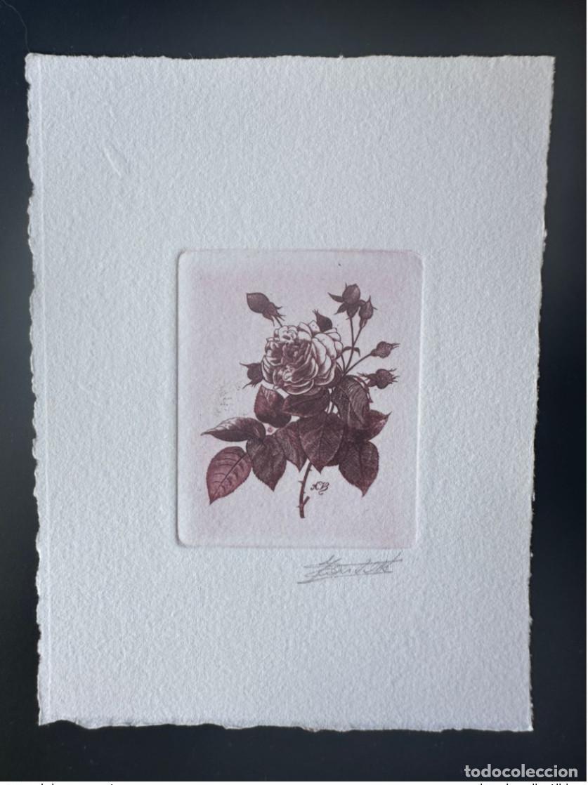 Sellos: B&eacute;lgica 1989 COB 2319 Prueba art&iacute;stica FDC Fleur Rose Bengal Redout&eacute;