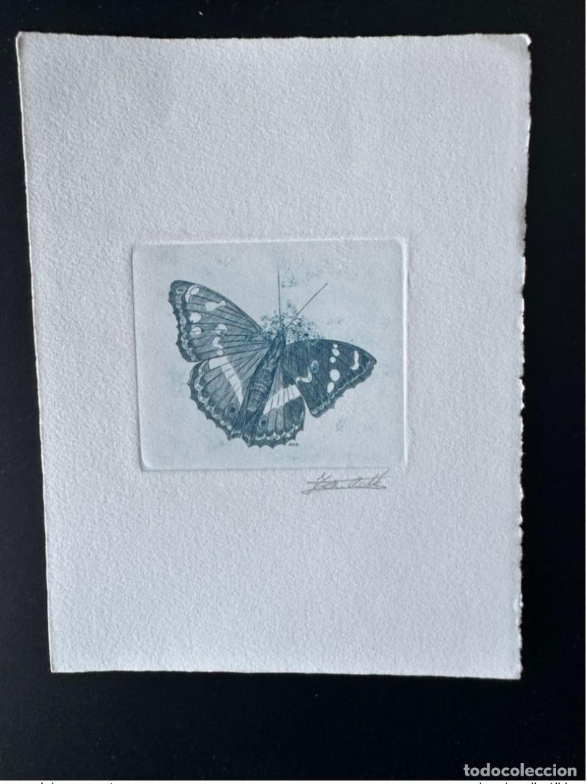 Sellos: B&eacute;lgica 1993 COB 2504 Prueba art&iacute;stica FDC Papillon Apatura iris azul