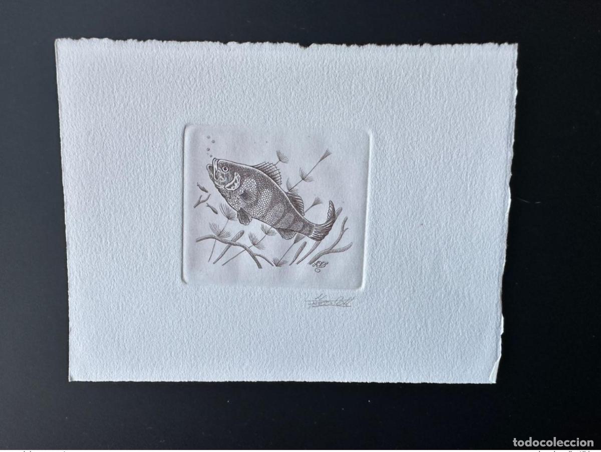 Sellos: B&eacute;lgica 1990 COB 2383 Prueba art&iacute;stica FDC Poisson Fish Fisch Brown Perch