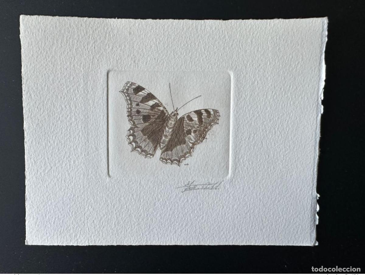 Sellos: B&eacute;lgica 1993 COB 2506 Artist proof Butterfly Aglais brown urticae