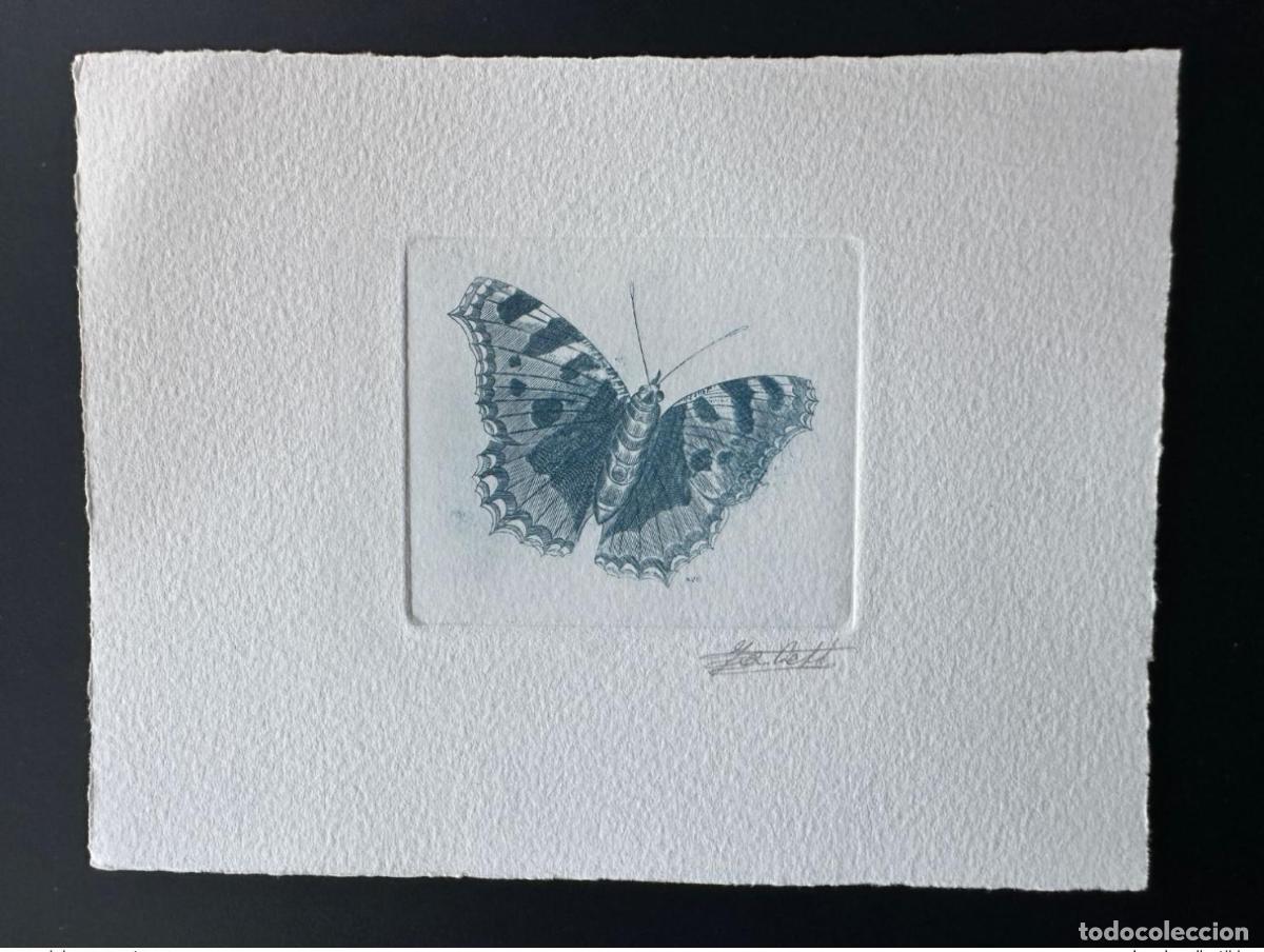 Sellos: B&eacute;lgica 1993 COB 2506 Prueba de artista Butterfly Aglais blue