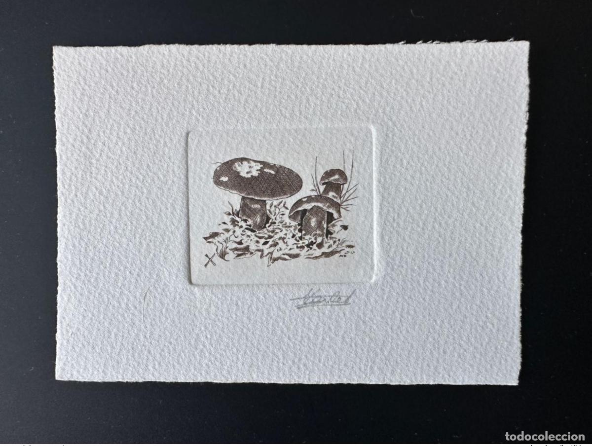 Sellos: B&eacute;lgica 1991 COB 2420 Prueba de artista FDC Funghi Mushroom rojo marr&oacute;n boletus