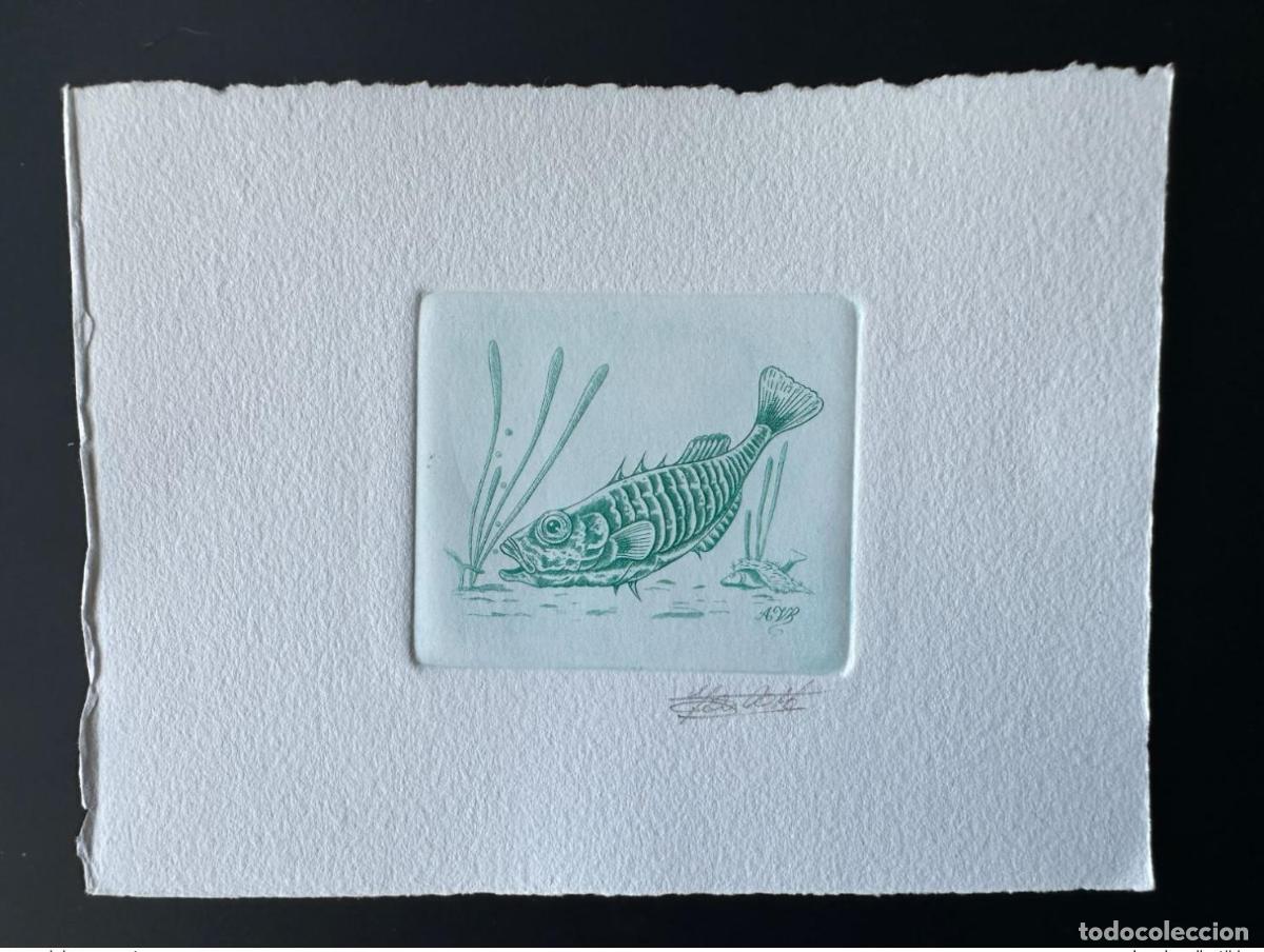 Sellos: B&eacute;lgica 1990 COB 2386 Prueba de artista FDC Poisson Fish Fisch Green stickleback