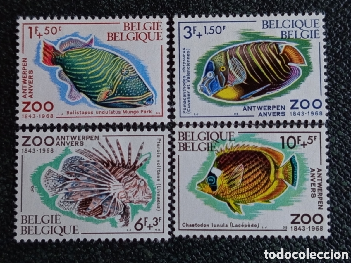 Sellos: Sellos B&eacute;lgica 1968 Serie Completa Peces 125 Aniv Zoo Amberes Michel 1527 al 1530 MH