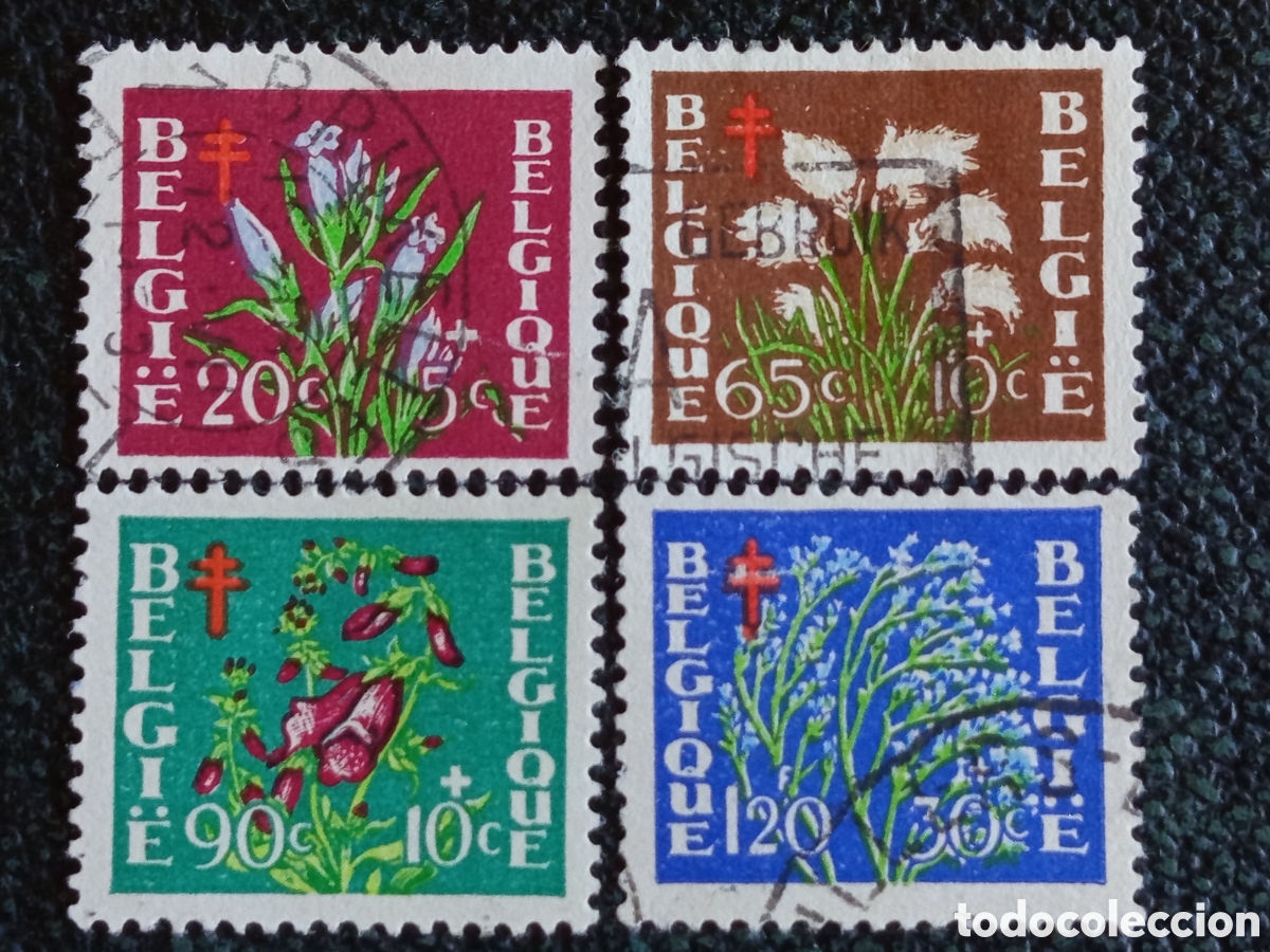 Stamps: B&eacute;lgica 1950 Serie Flora Flores Antituberculosis Usada (Yvert 834/837 )