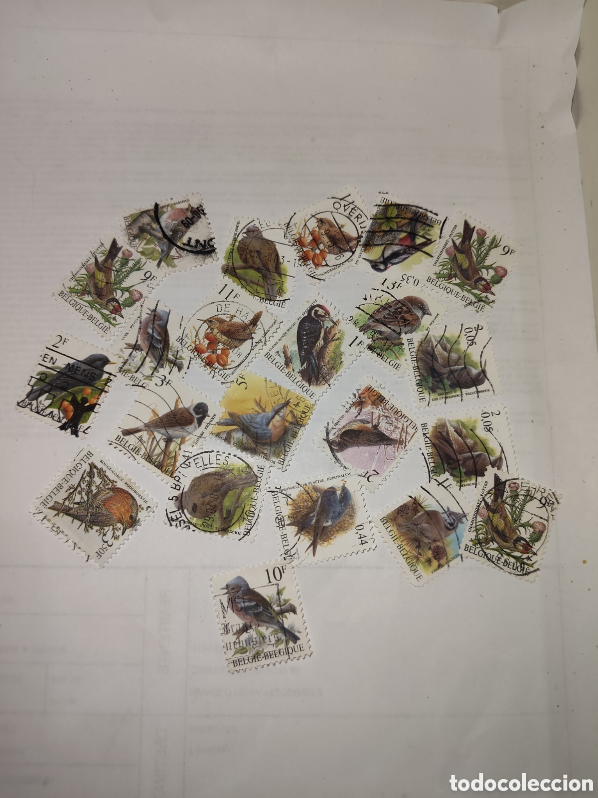 Sellos: 21 sellos de B&eacute;lgica Fauna Aves p&aacute;jaros 1991