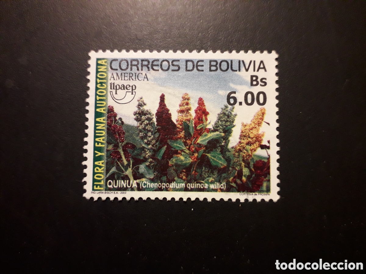 Sellos: BOLIVIA YVERT 1155 SELLO SUELTO USADO 2003 AM&Eacute;RICA UPAEP, QUINOA, PEDIDO M&Iacute;NIMO 3&euro;