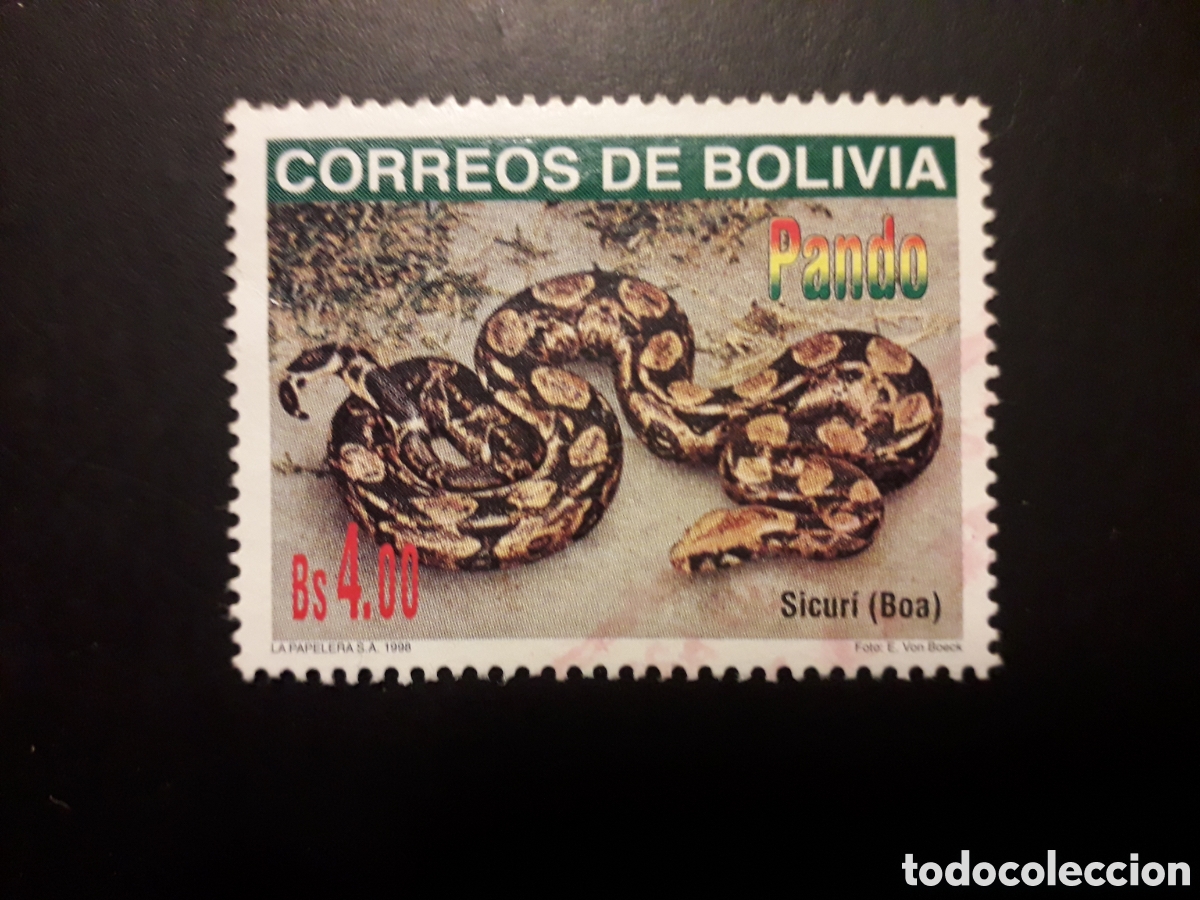 Sellos: BOLIVIA YVERT 993 SELLO SUELTO USADO 1998 REGI&Oacute;N DE PANDO, FAUNA SERPIENTE BOA PEDIDO M&Iacute;NIMO 3&euro;
