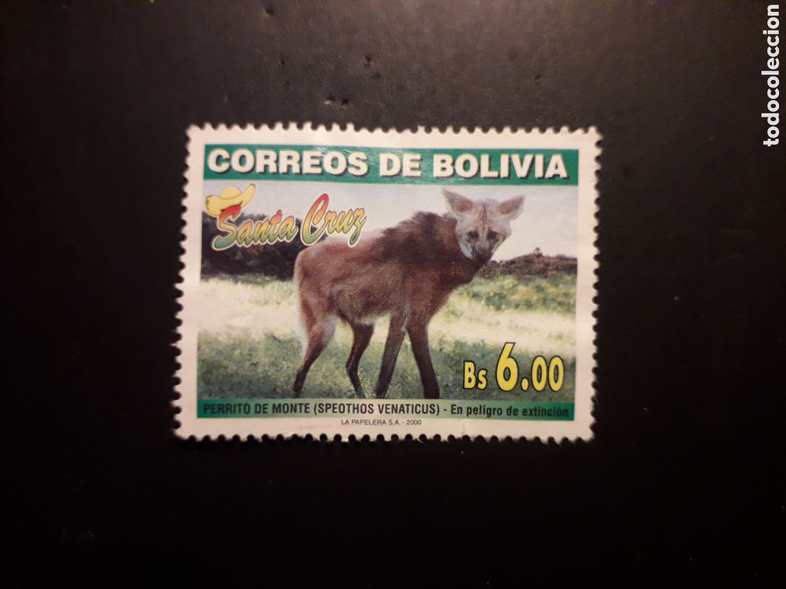 Sellos: BOLIVIA YVERT 1044 SELLO SUELTO USADO 2000 SANTA CRUZ, FAUNA PERRITO DE MONTE PEDIDO M&Iacute;NIMO 3&euro;