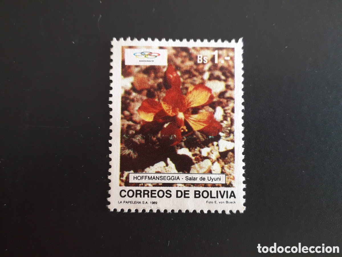 Sellos: BOLIVIA YVERT 729 SELLO SUELTO USADO 1989 FLORA FLORES PEDIDO M&Iacute;NIMO 3&euro;