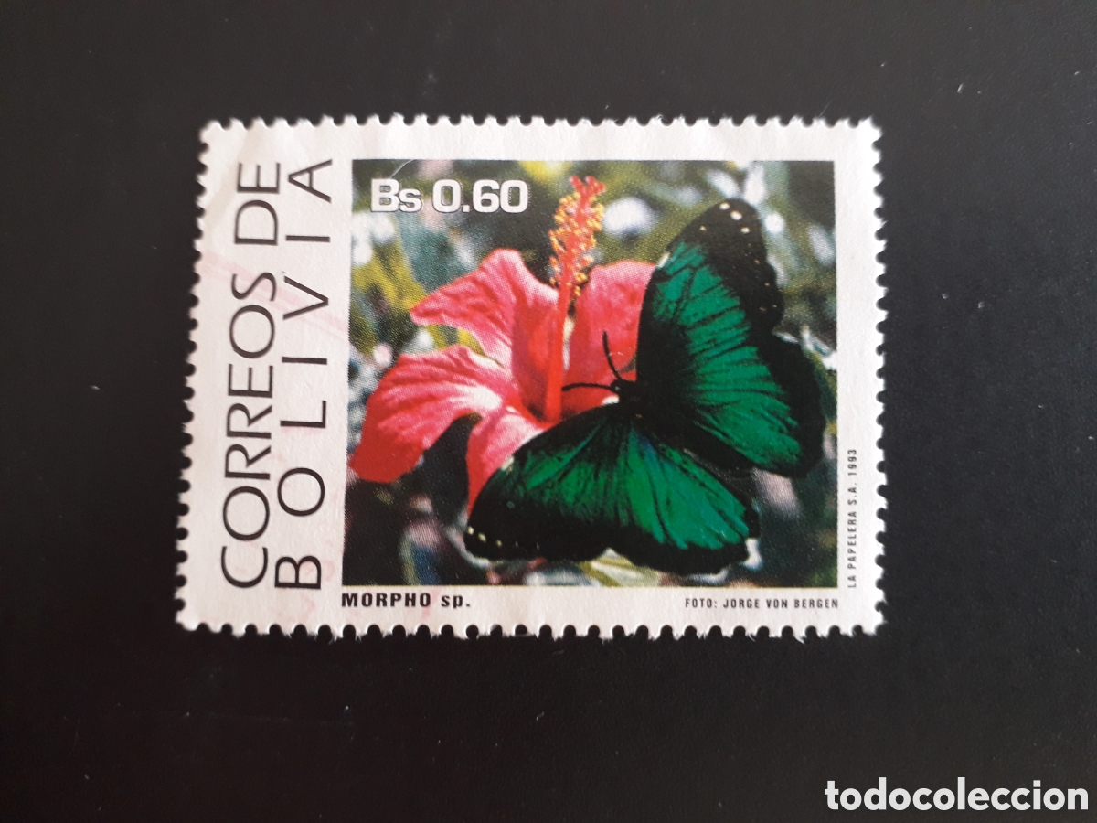 Sellos: BOLIVIA YVERT 820 SELLO SUELTO USADO 1993 FAUNA INSECTOS MARIPOSAS PEDIDO M&Iacute;NIMO 3&euro;