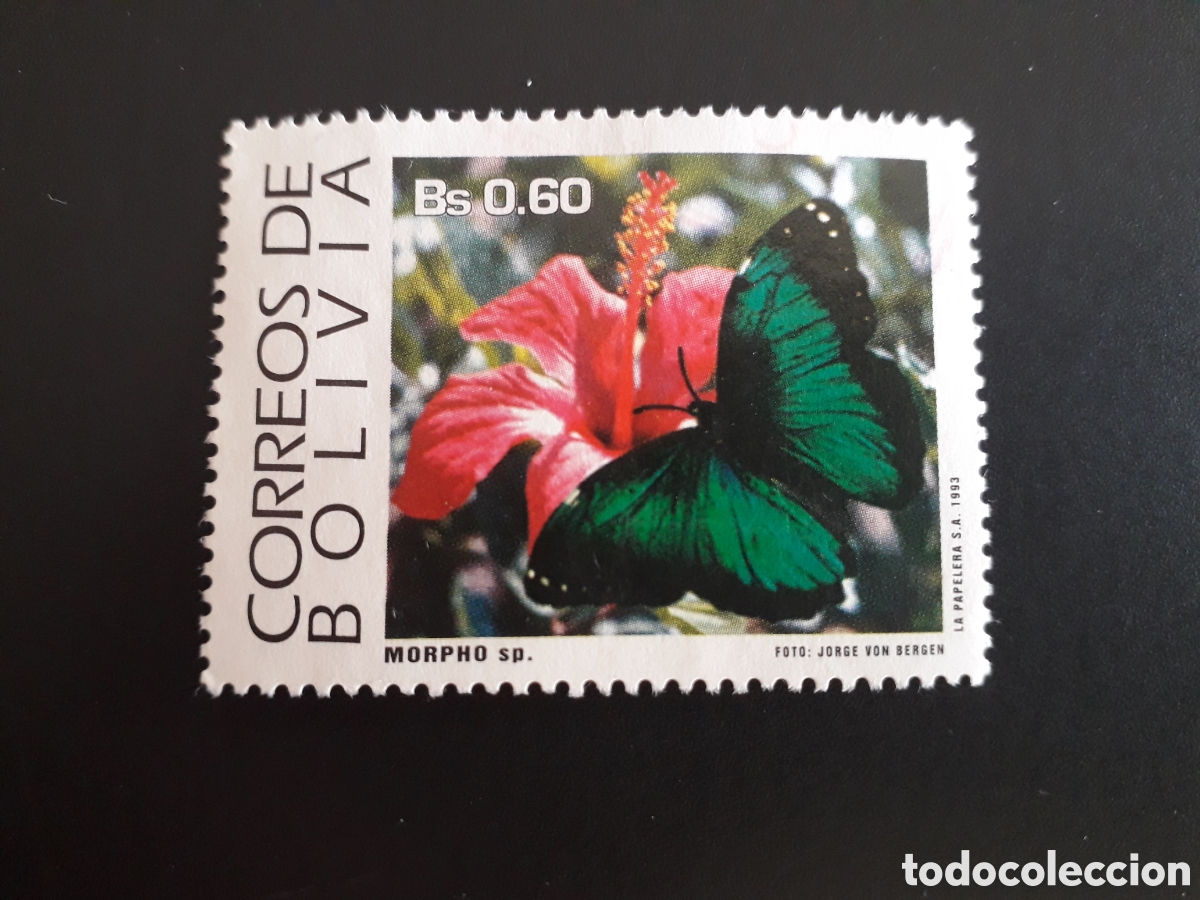 Sellos: BOLIVIA YVERT 820 SELLO SUELTO USADO 1993 FAUNA INSECTOS MARIPOSAS PEDIDO M&Iacute;NIMO 3&euro;