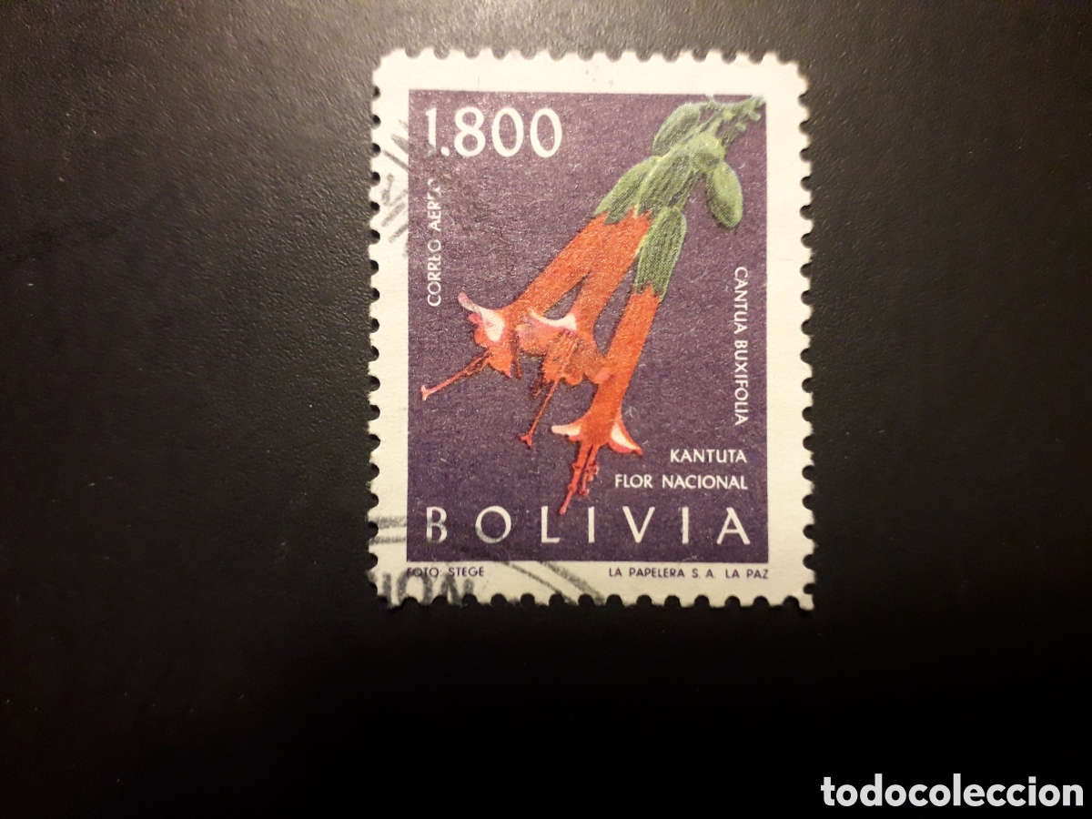 Sellos: BOLIVIA YVERT A 220 SELLO SUELTO USADO 1962 FLORA FLORES PEDIDO M&Iacute;NIMO 3&euro;