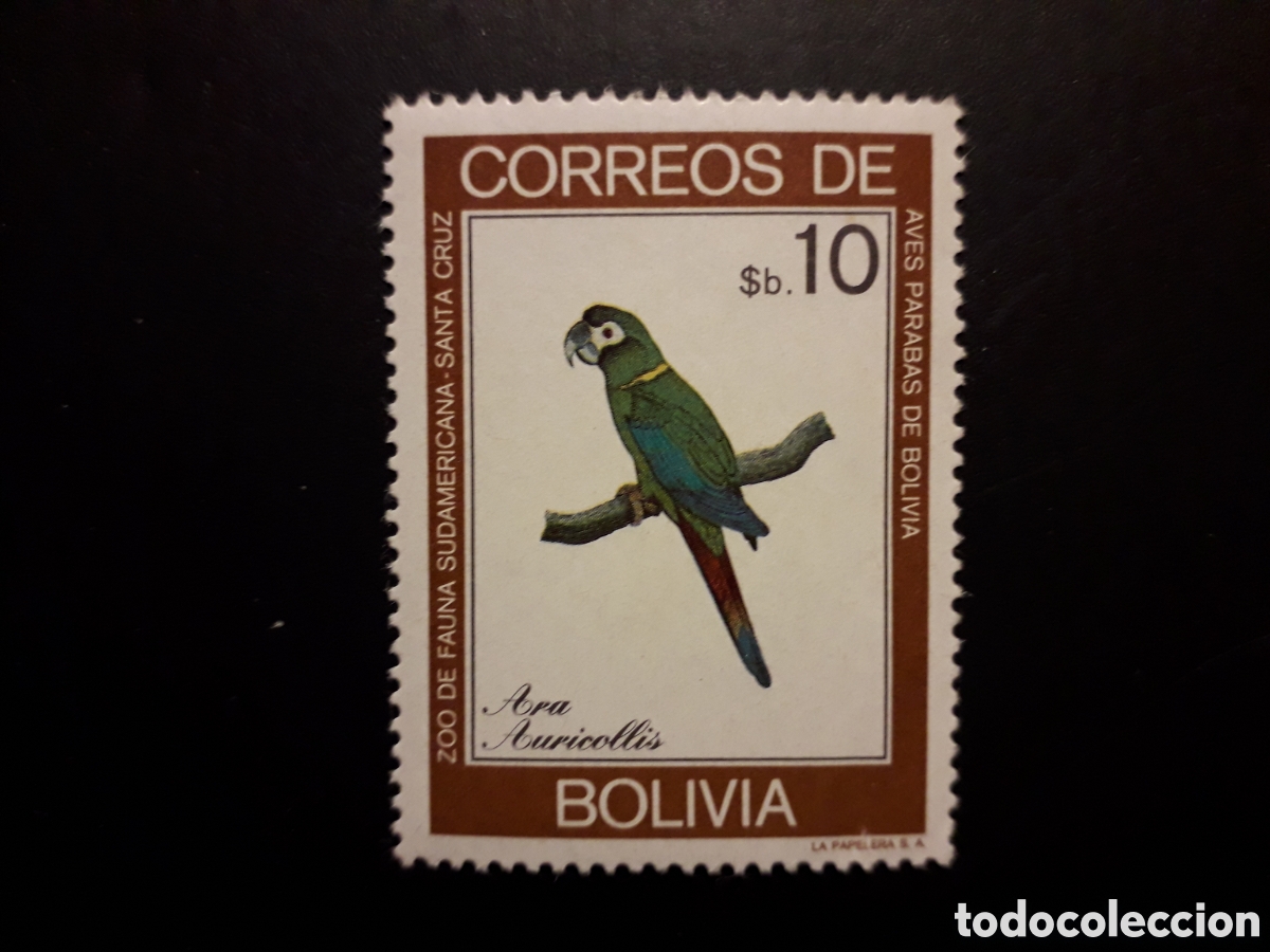 Sellos: BOLIVIA YVERT 608 SELLO SUELTO NUEVO *** 1981 FAUNA AVES LOROS PERIQUITOS PEDIDO M&Iacute;NIMO 3&euro;