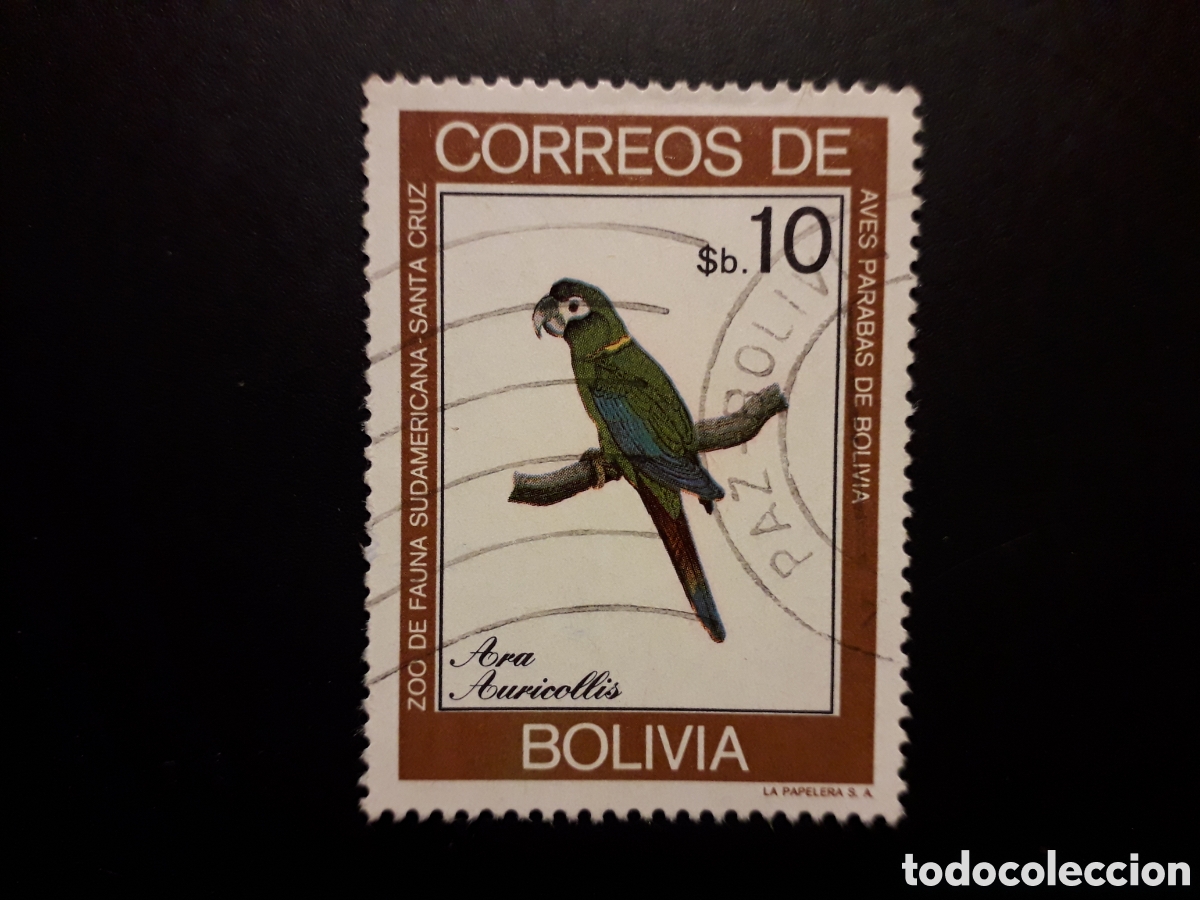 Sellos: BOLIVIA YVERT 608 SELLO SUELTO USADO 1981 FAUNA AVES LOROS PERIQUITOS PEDIDO M&Iacute;NIMO 3&euro;