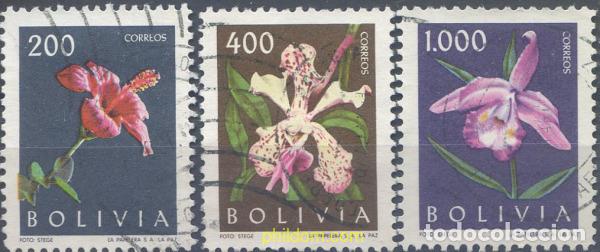 Sellos: 665583 USED BOLIVIA 1962 FLORA BOLIVIANA
