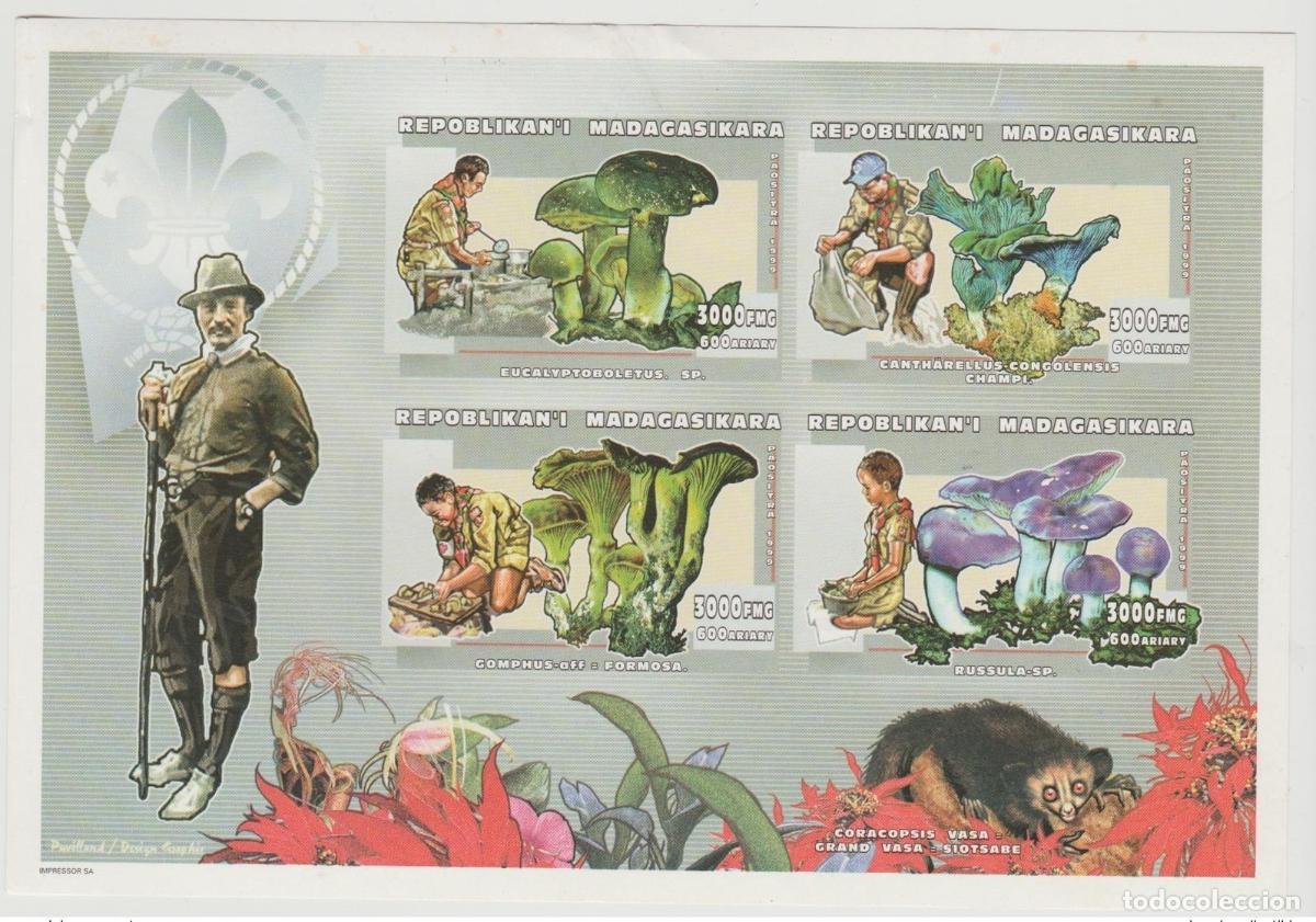Sellos: Madagascar 1999 Mi. 2358 - 2361 Scouts Scouting Mushrooms IMPERF ND