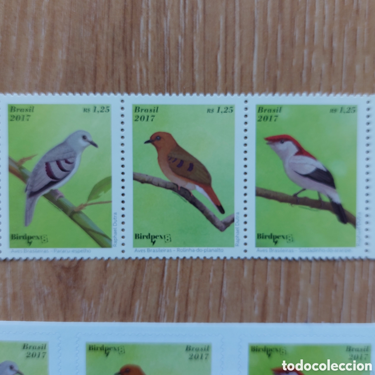 Sellos: 2017 Brasil aves fauna - Foto 2