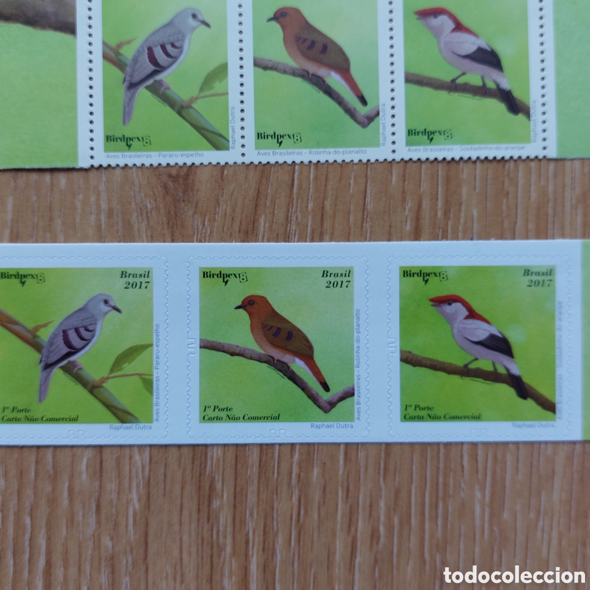 Sellos: 2017 Brasil aves fauna - Foto 4
