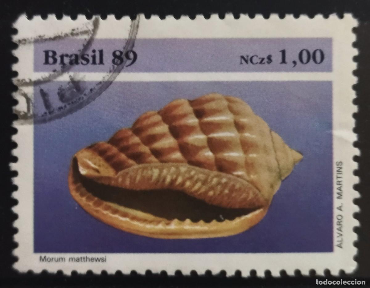 Sellos: BRASIL 1989 Moluscos. USADO. - Foto 1