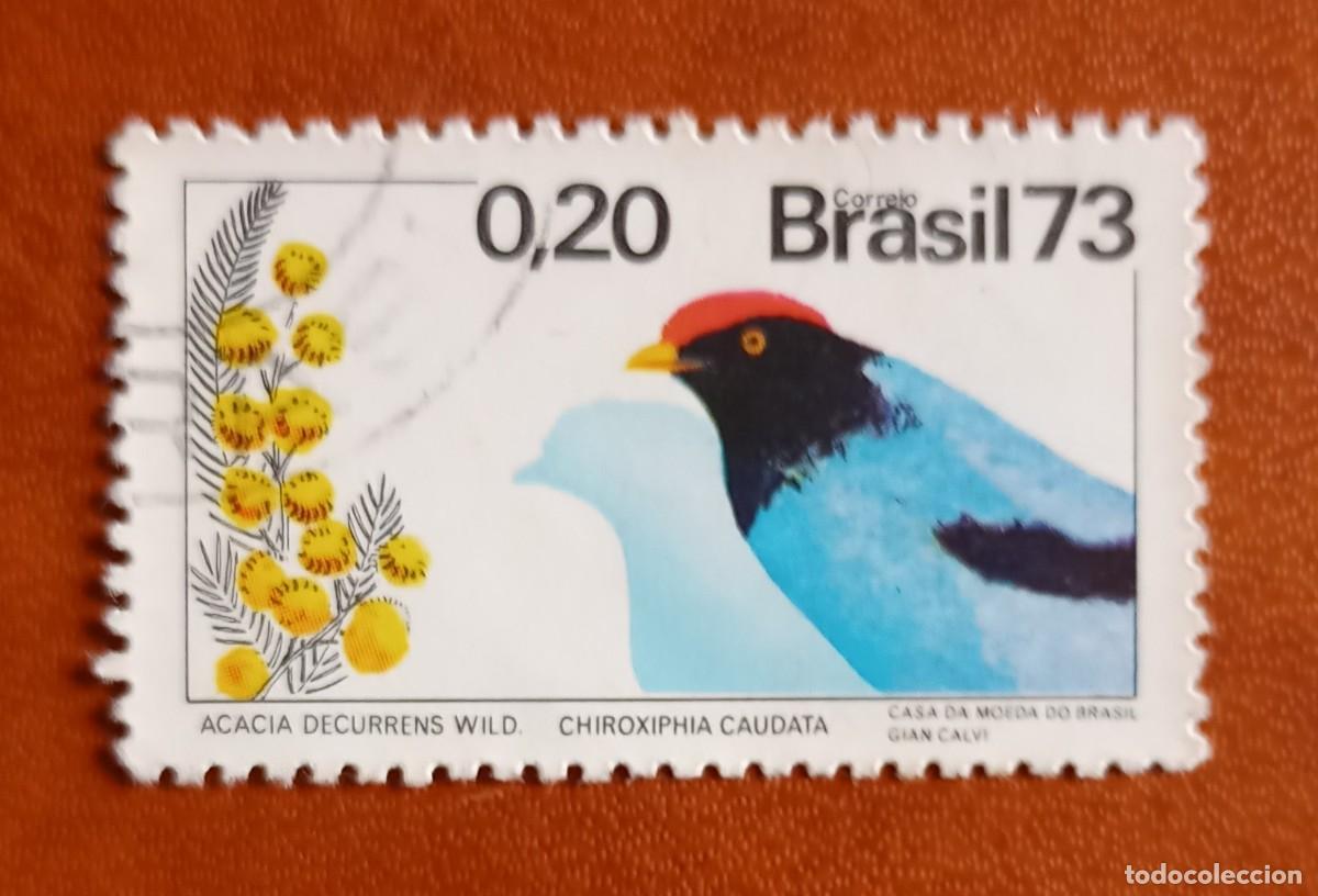 Sellos: Brasil 1973. P&aacute;ssaros - Foto 1