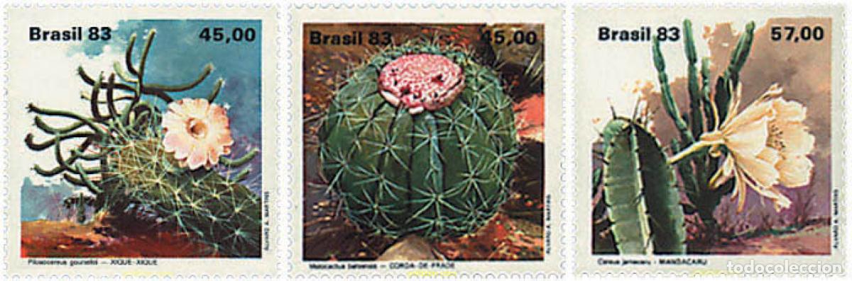 Sellos: 81652 MNH BRASIL 1983 CACTUS