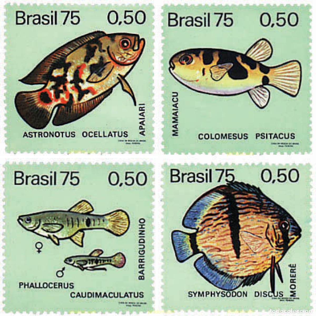 Sellos: 28367 MNH BRASIL 1975 PECES DE AGUA DULCE