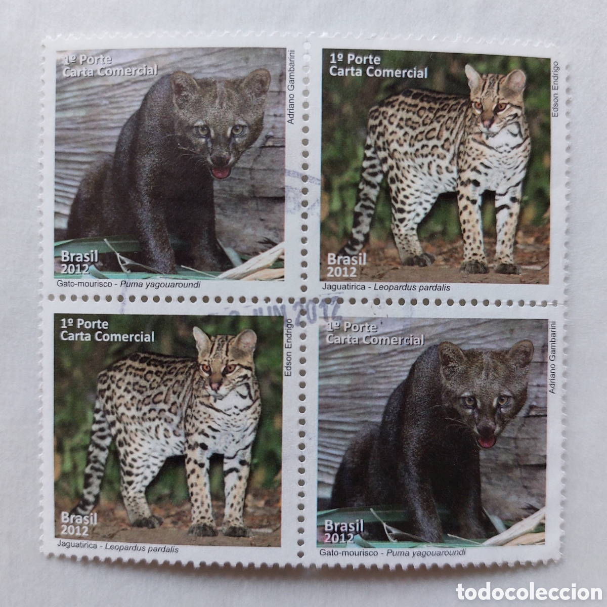 Sellos: 2012 Brasil usado felinos Fauna leopardo gato