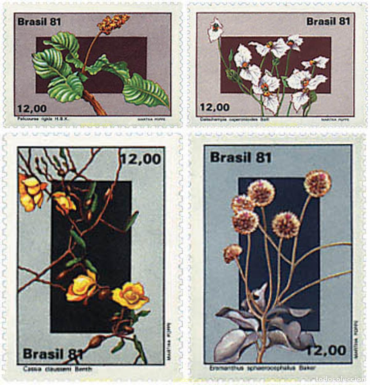 Sellos: 98254 MNH BRASIL 1981 FLORA BRASILE&Ntilde;A