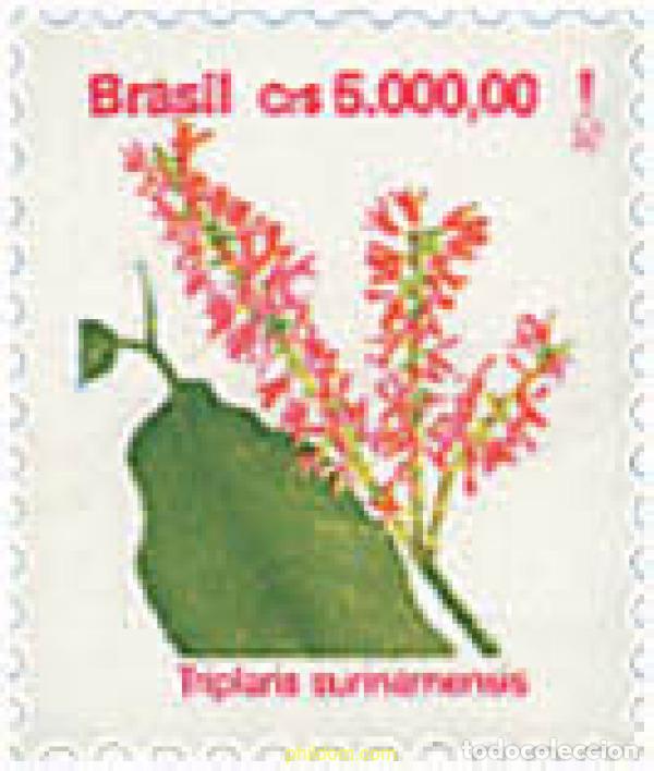 Sellos: 81696 MNH BRASIL 1992 FLORA BRASILE&Ntilde;A