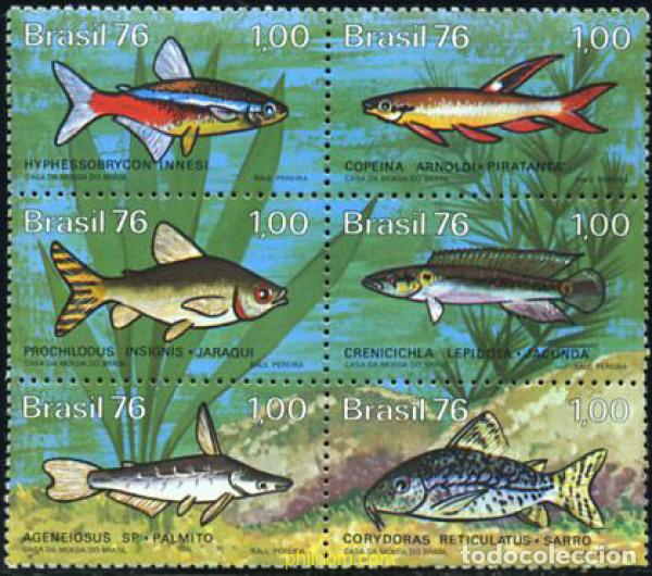 Sellos: 146891 MNH BRASIL 1976 PECES