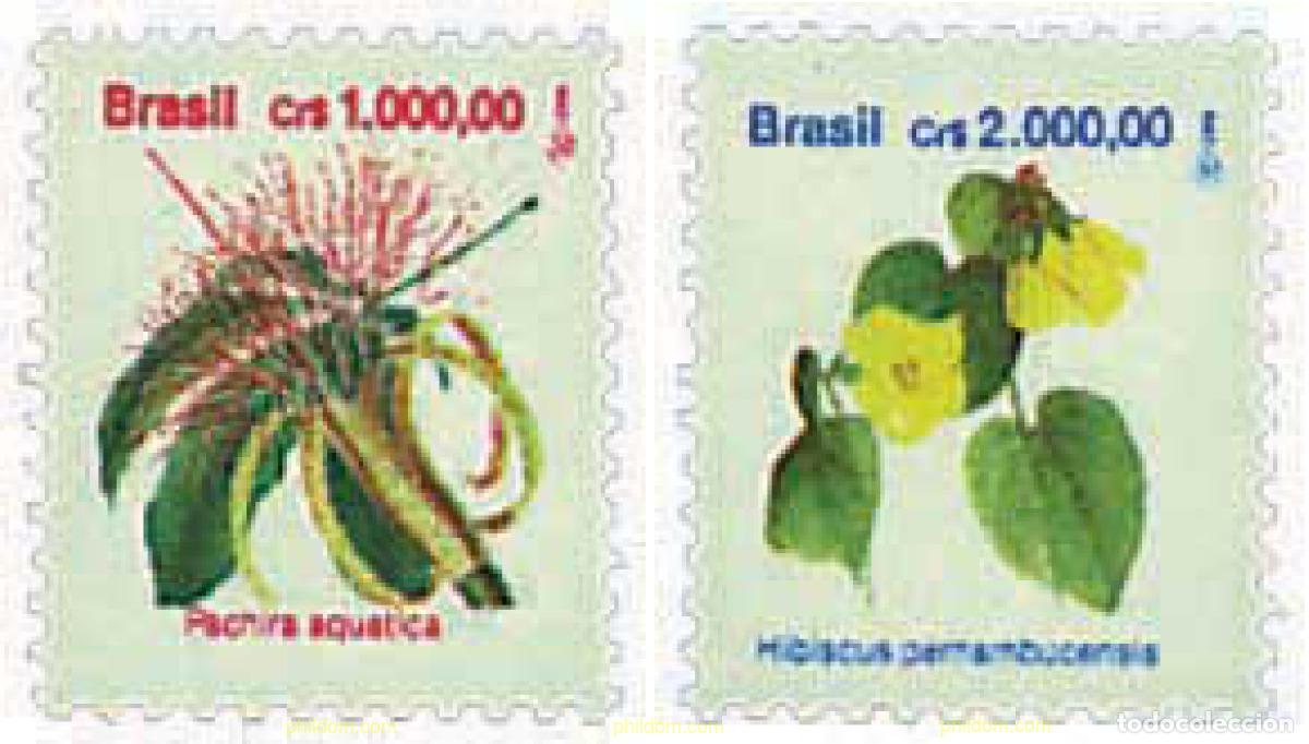 Sellos: 81694 MNH BRASIL 1992 FLORA BRASILE&Ntilde;A