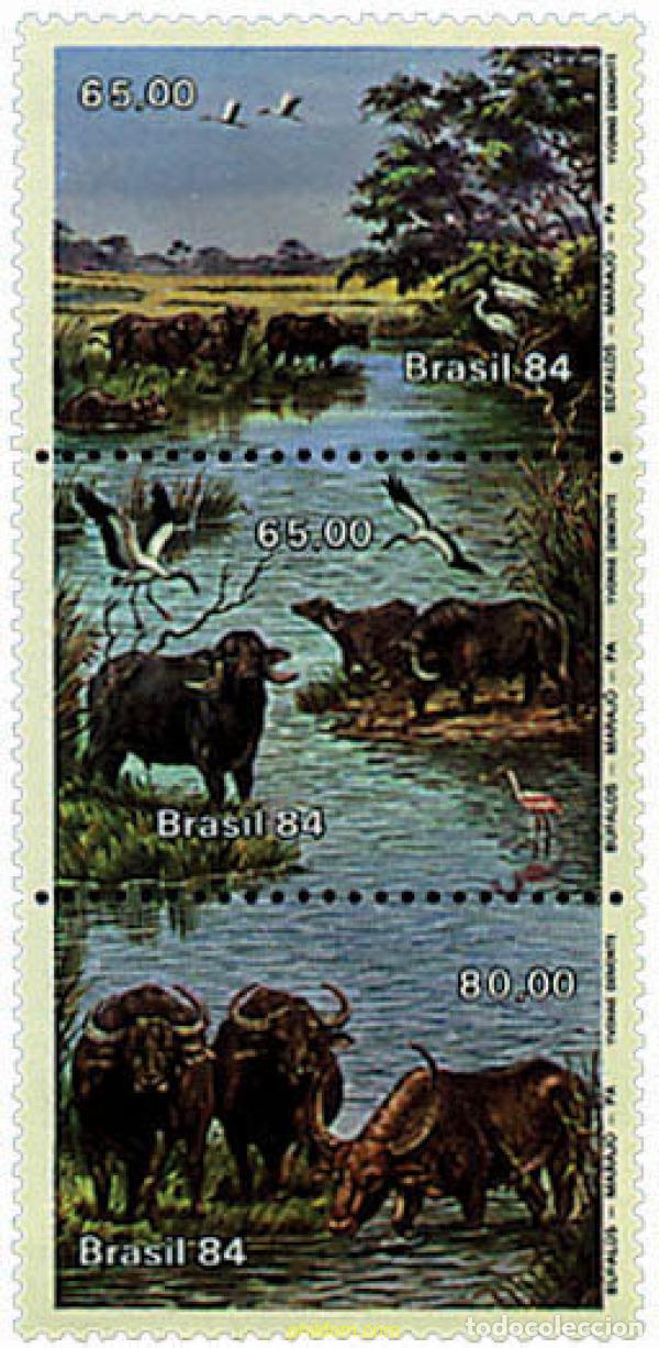 Sellos: 113757 MNH BRASIL 1984 LOS BUEYES DE LA ISLA DE MARAJO
