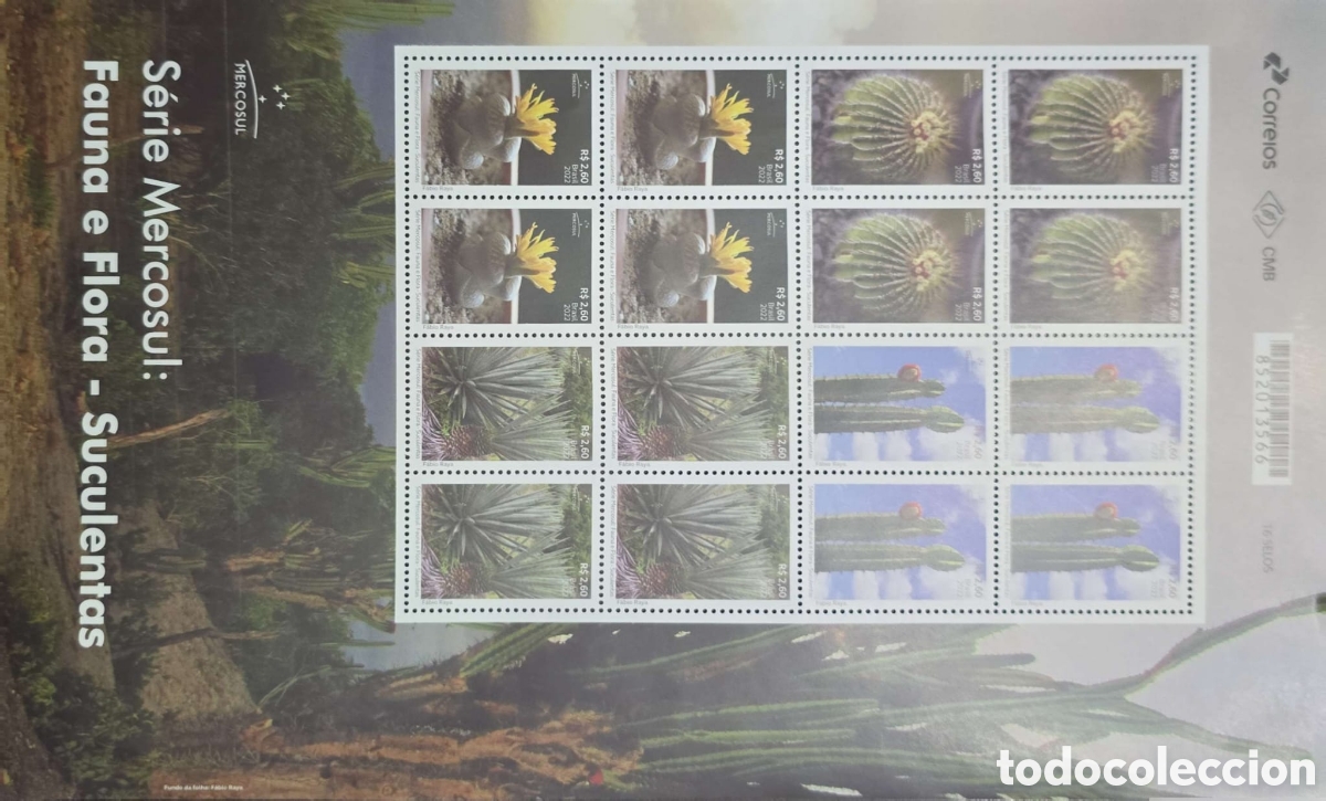 Sellos: CA)Brazil &middot; 2021 &middot; Succulent Plants &ndash; Mercosur Series &middot; Commemorative sheet titled &ldquo;S&eacute;rie Mercosul: