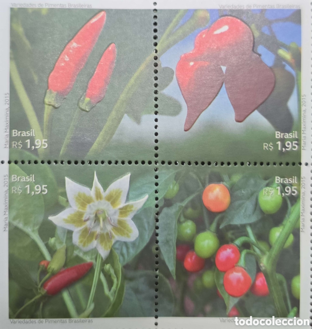 Sellos: CA)Brazil &middot; 2015 &middot; Varieties of Chili Peppers &middot; Set of four commemorative stamps inscribed &ldquo;Brasil R