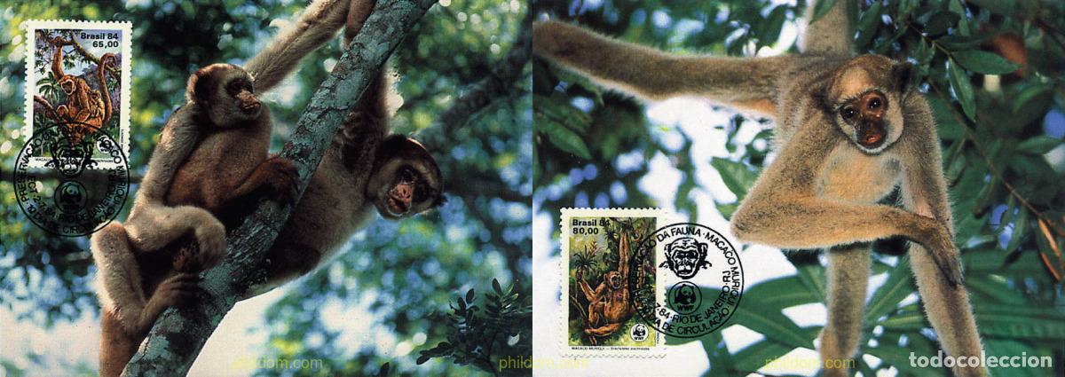 Sellos: 7544 MNH BRASIL 1984 PROTECCION DE LA NATURALEZA
