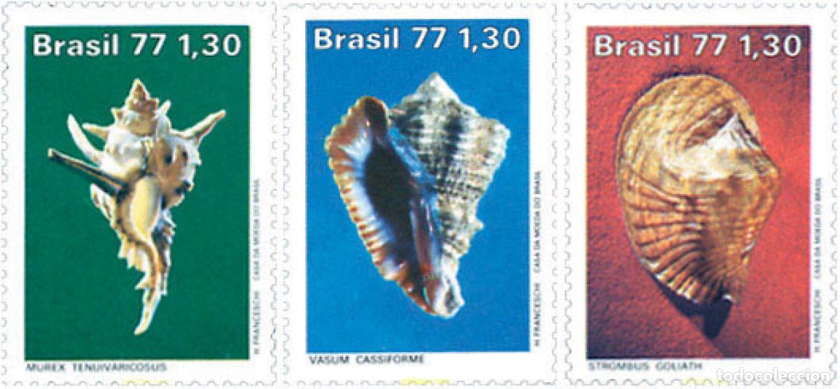 Sellos: 51762 MNH BRASIL 1977 CONCHAS