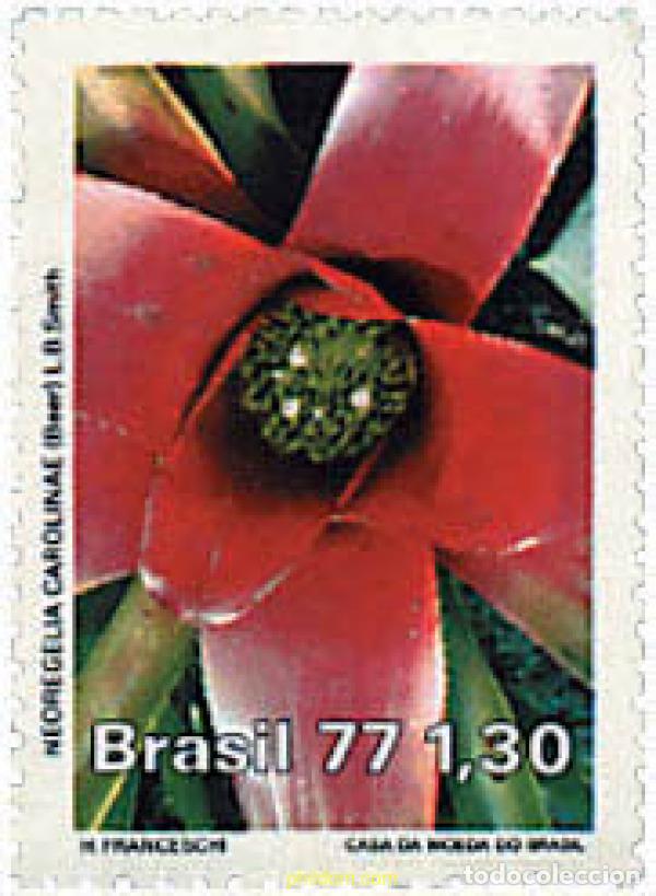 Sellos: 81610 MNH BRASIL 1977 PROTECCION DE LA NATURALEZA