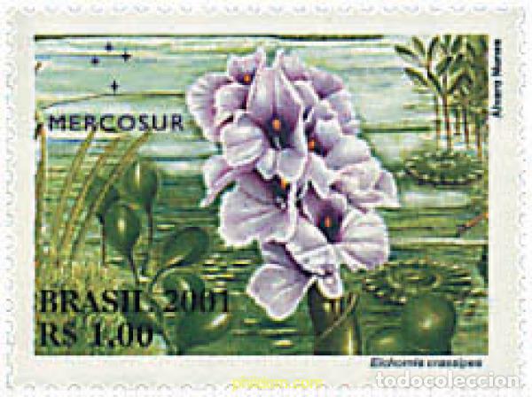 Sellos: 81808 MNH BRASIL 2001 FLORA DEL MERCOSUR