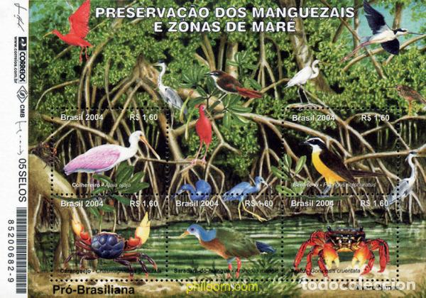 Sellos: 148493 MNH BRASIL 2004 AMERICA-UPAEP 2004 - PROTECCION DEL MEDIO AMBIENTE