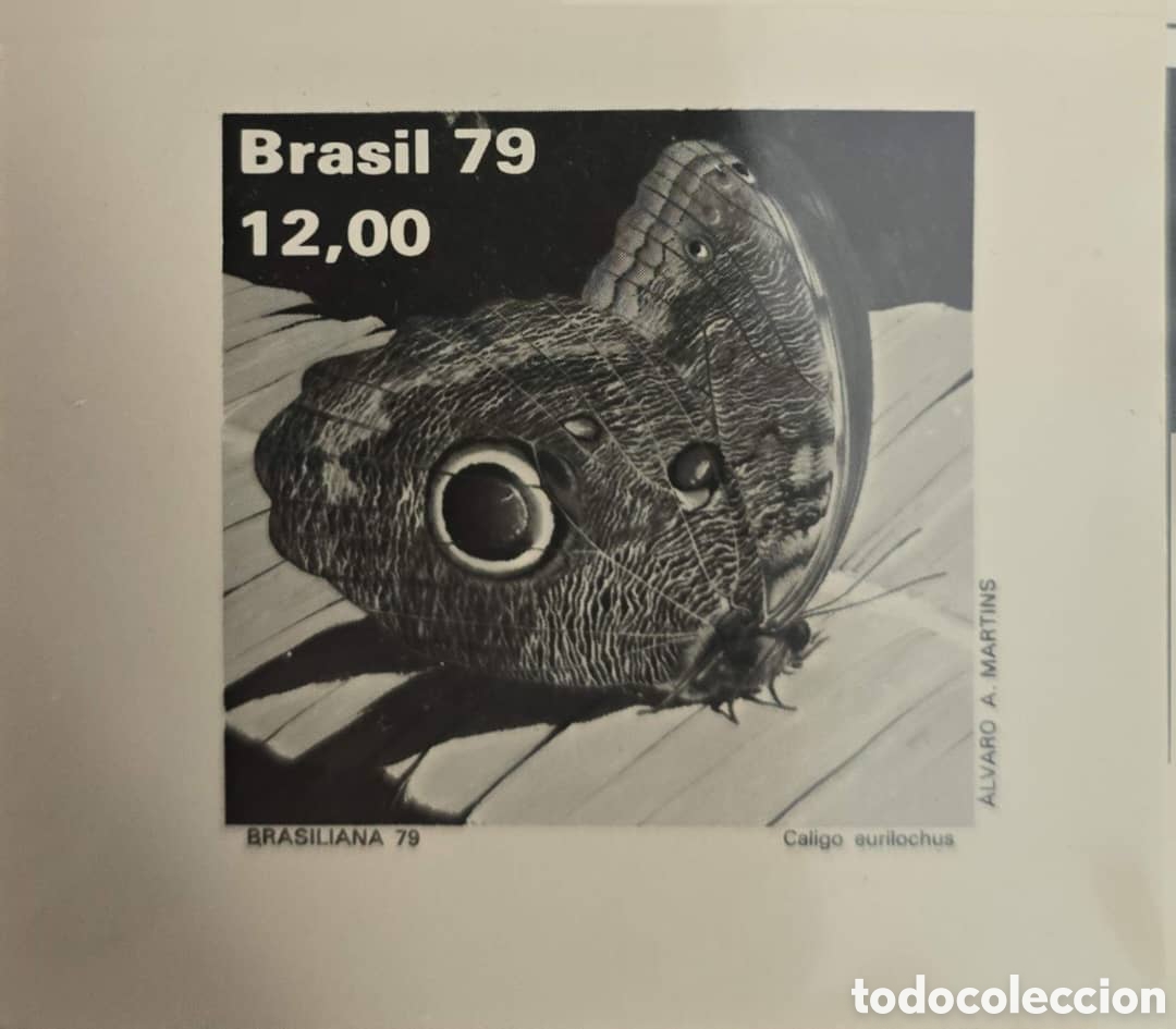 Sellos: Cy) 1979 Brazil Photomecanical proof print
