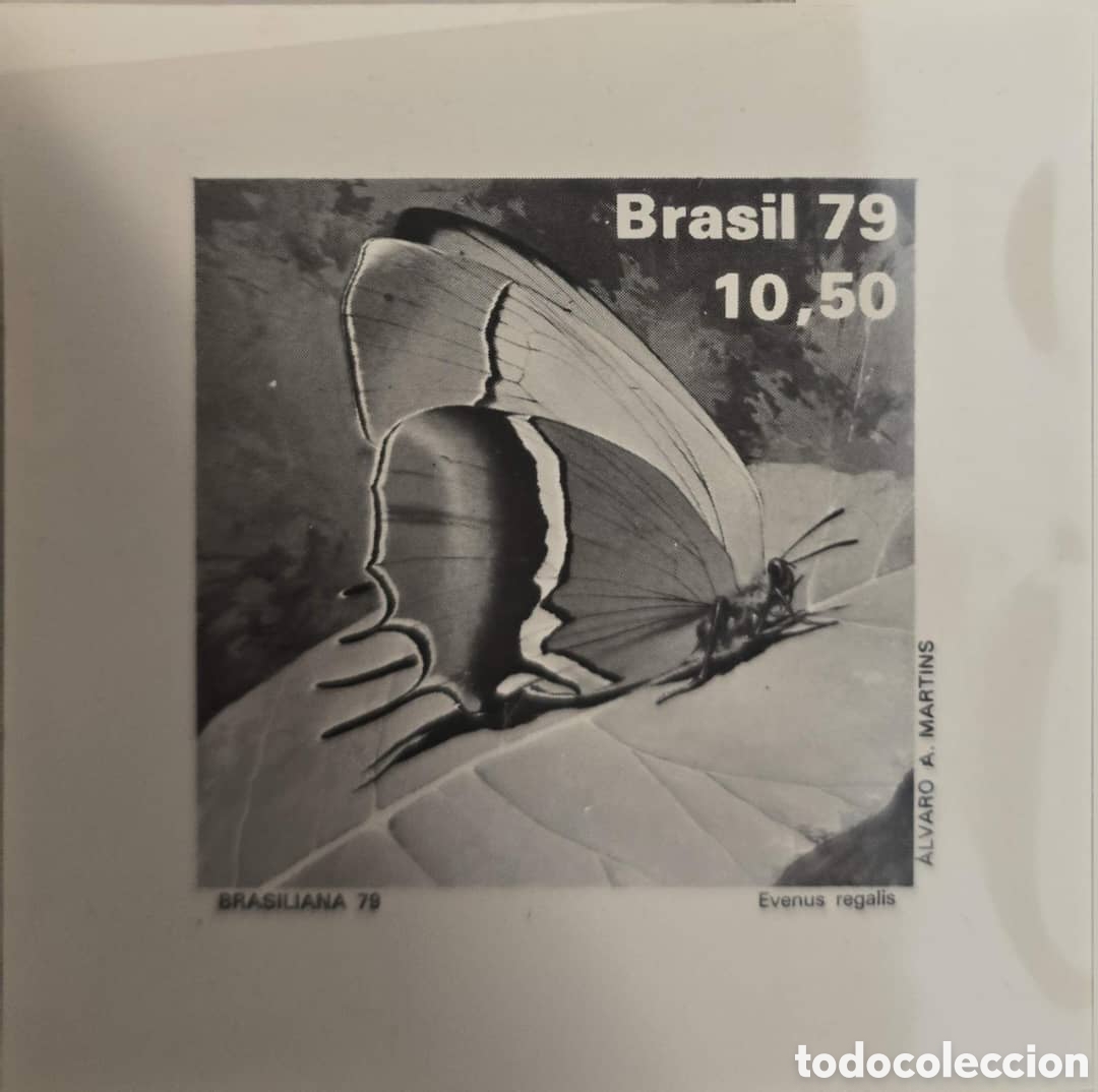 Sellos: Cy) 1979 Brazil Photomecanical proof print